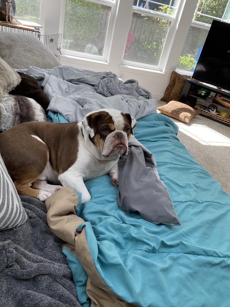 _barrettgrant's tweet photo. This is turbo, and he’s not amused by your words https://t.co/sPmRRxBSYa