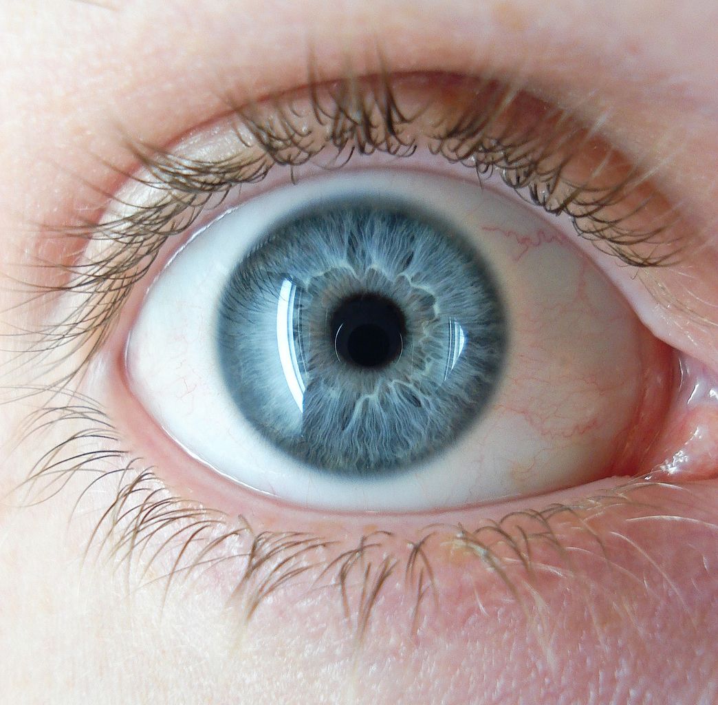 AustVisRes's tweet photo. Last day to apply for your grant!! 5pm AESDT deadline is looming......
@oria_au
#savingsight #Australiaeyeresearch #fundingforgood
https://t.co/jIJpIRPY46
https://t.co/YvBW5xCuSk https://t.co/PFDWod5pud