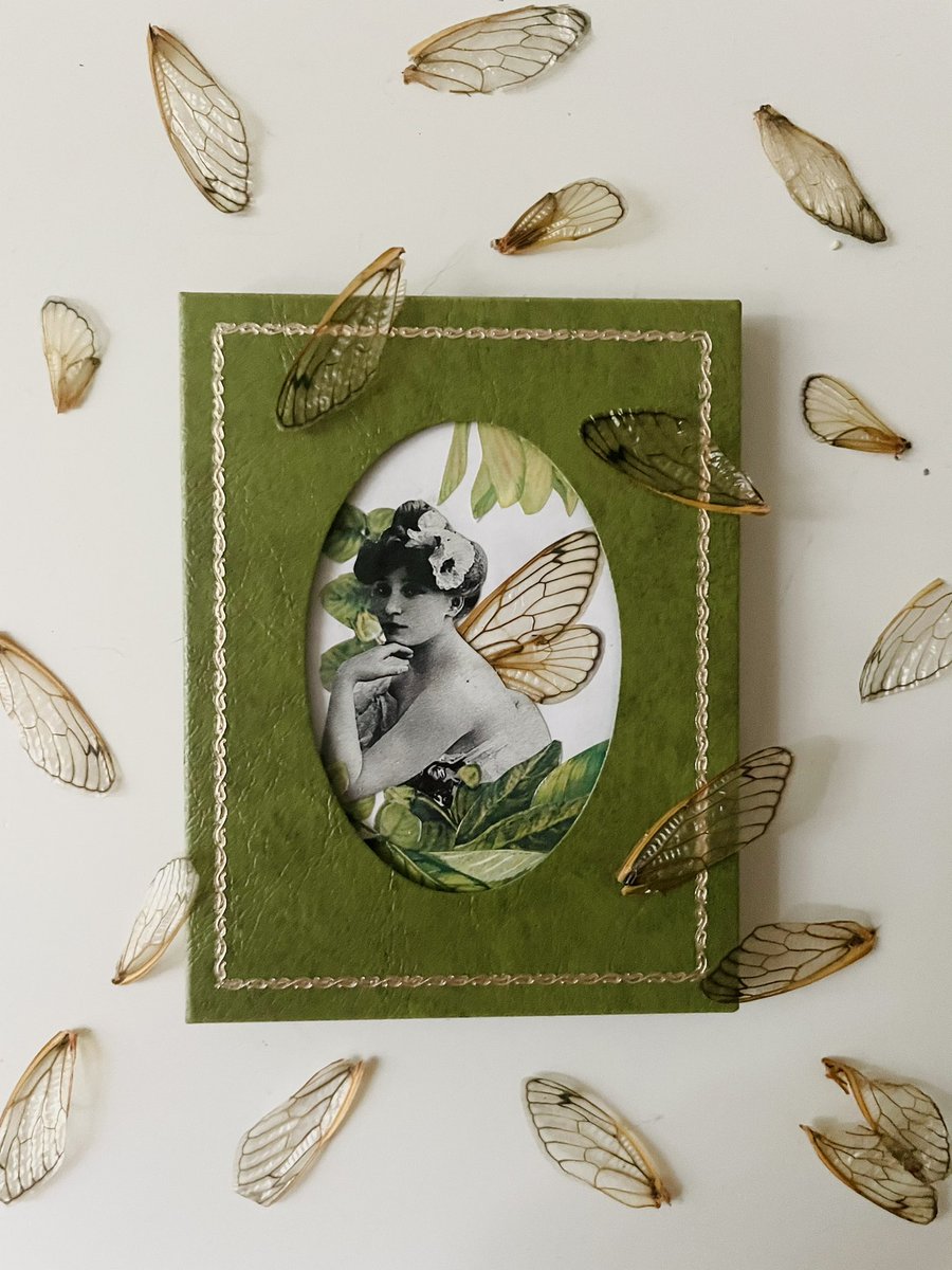 my latest in experimental art. this time with cicadas. ✨ the wing woman ✨