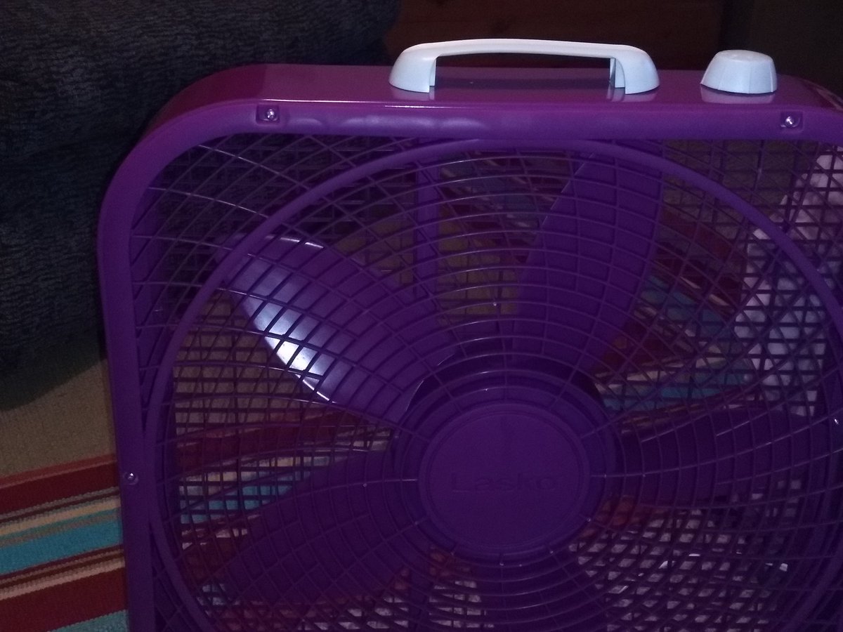 Of course I had to buy a purple fan!  😀😀😀.