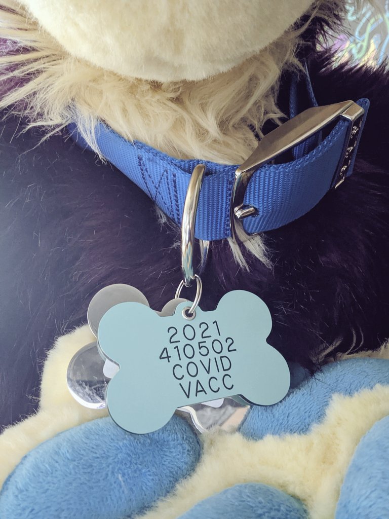 phoenixwuff's tweet photo. This dog is fully vaccinated 💜 https://t.co/oKh0fAepZ6
