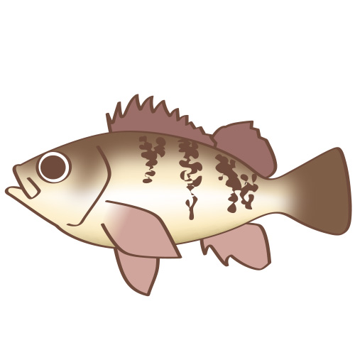 Twoucan メバル の注目ツイート イラスト マンガ コスプレ モデル Twoucan メバル の注目ツイート イラスト マンガ コスプレ モデル