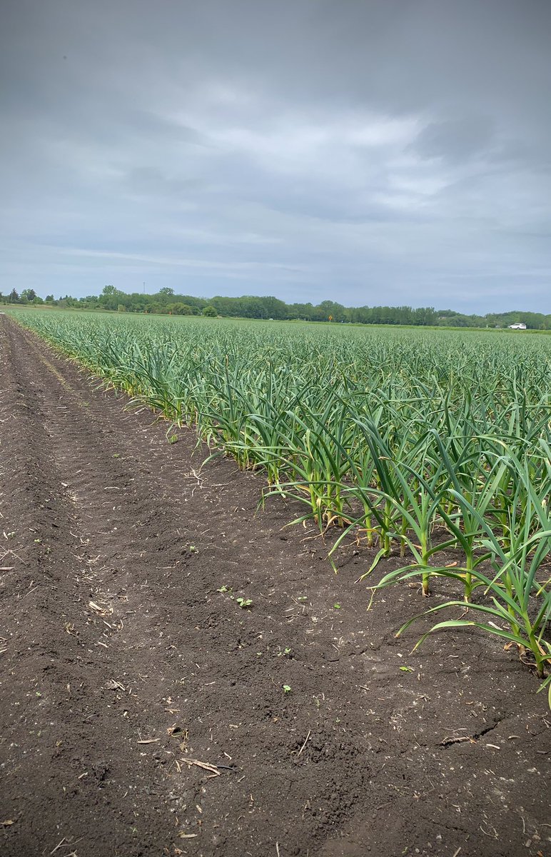 nathan teetzel tweet media