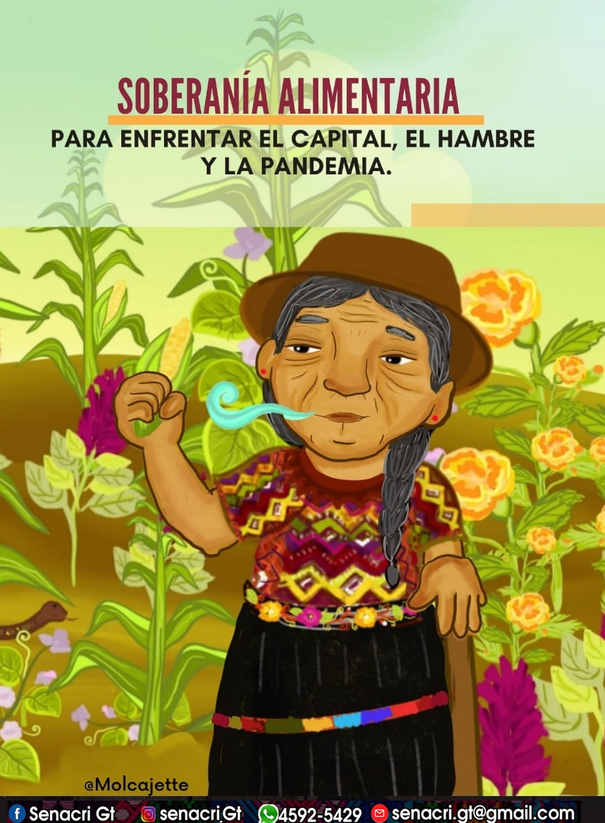 ¡Por la soberanía alimentaria de los pueblos! Agricultura Campesina para enfrentar al capital, el.hambre y sobrevivir a la pandemia.

Arte: @ItzelyTqm

#SoberaníaAlimentaria 
#soberaníaalimentariaya