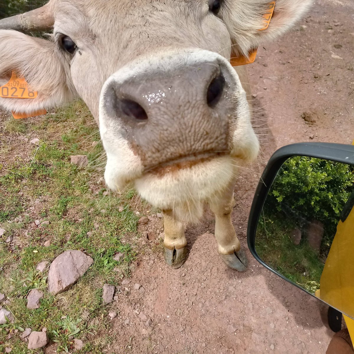 Booon dia pel matí !!!
Be..... i ara que representa que li haig de dir a aquesta noia ?
😅😅😅
😂😂😂😂😂😂