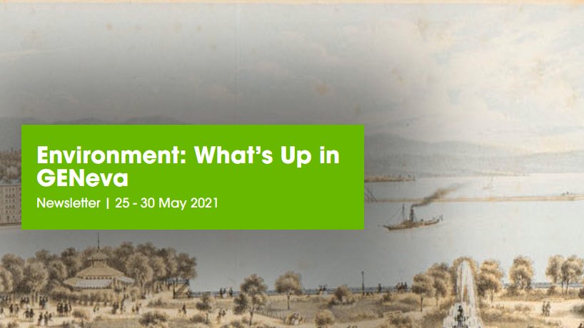 GENetwork's tweet photo. #Environment: What's Up in #GENeva from 25-30 May?
✅ Run-up to #Post2020 #Biodiversity 
✅ #IDM2021
✅ #WHA74
✅ #Chemicals &amp; #Waste briefing
✅ #Wednesdays4thePlanet on #Digital globe
✅ #ConnectWithGEN
✅ &amp; more

Check events, #jobs &amp; suggestions ➡️ https://t.co/0G3ZZ1BSAV https://t.co/tWzhsJEFqc