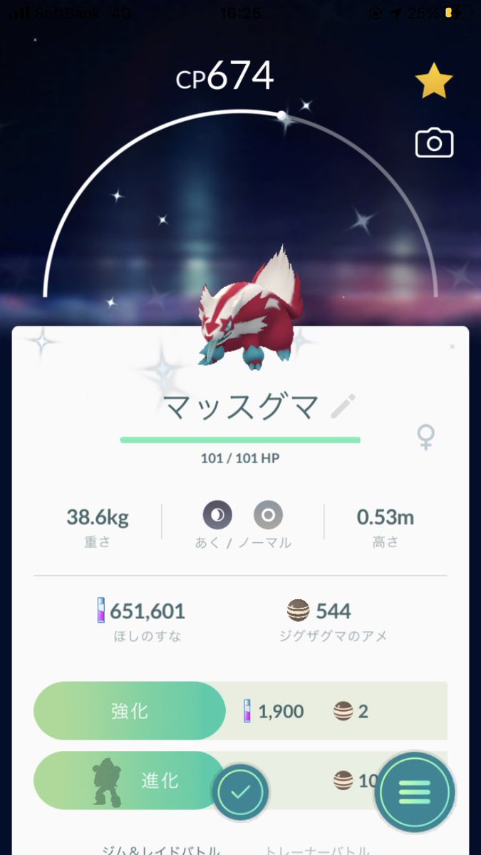 ポケモンgo マッスグマの色違い 入手方法と実装状況 攻略大百科