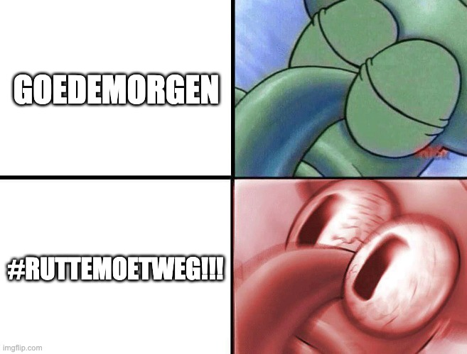 DedWhaleson's tweet photo. @debroervanroos Nederlanders be like: https://t.co/95QGXSK8AP