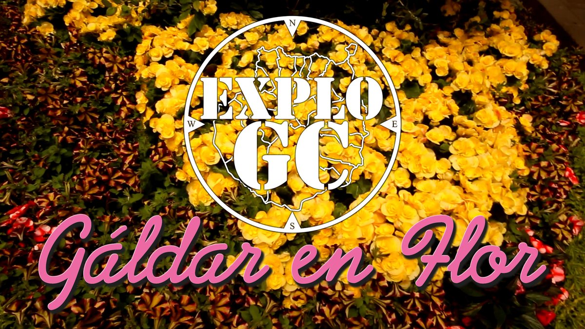explogc's tweet photo. Gáldar en Flor

#explogc
https://t.co/Iqej8RCQlJ Gran Canaria

https://t.co/Ri2QS8TMfC https://t.co/4O3wp3Ec1L