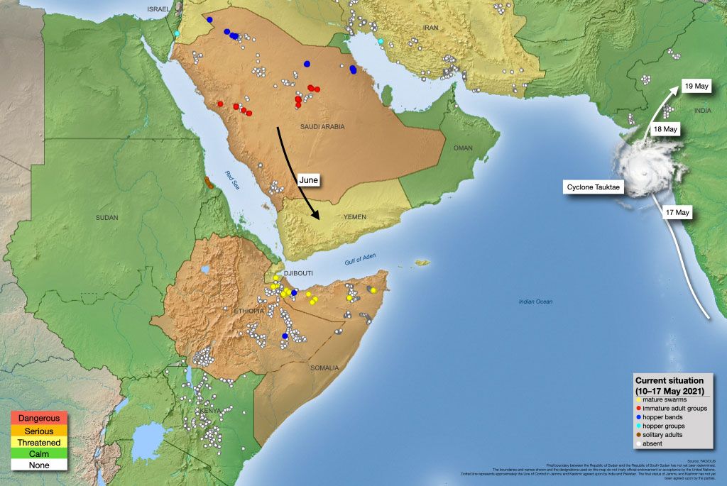 mahenderkulriya's tweet photo. '' Locust attack''current situation according to @FAOLocust'attack'found only African countries, Saudi Arabia and yamen.The N.E area's (Iran,Pak.and Ind.) safe with regards to locust attack'.@FAO @KatariaLalchand @narendramodi @KailashBaytu @ashokgehlot51 @timesofindia @htTweets https://t.co/7PjWr4yklo