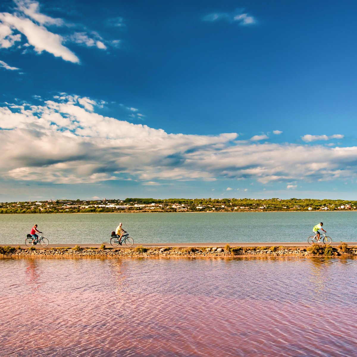 wanderlustmag's tweet photo. As Formentera lies halfway between Africa and Europe, thousands of migratory birds arrive during the Spring and Autumn, attracted by the islandβs diverse eco-systems, lagoons and wetlands.
Learn more > https://t.co/Uk3gjgDJmv
#ad #wlfo
@visitformentera https://t.co/PWSP8XYTDQ