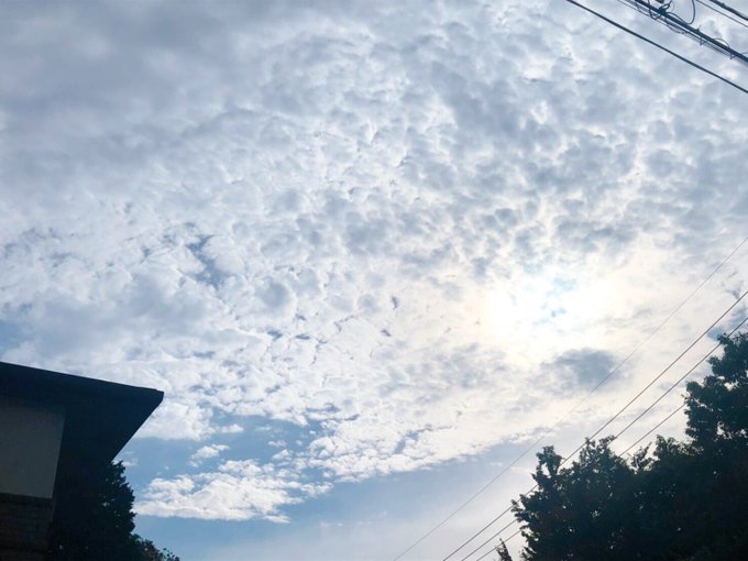 Twitterのコスプレ画像15