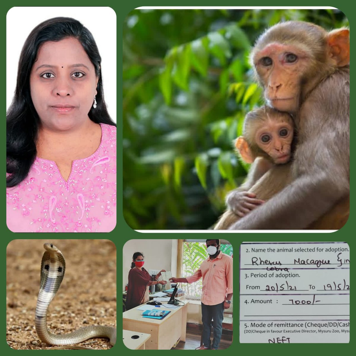 Sri Chamarajendra Zoological Gardens (Mysore Zoo) on Twitter:  