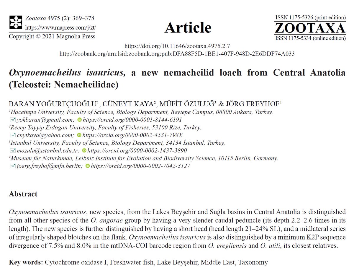 Baran Yoğurtçuoğlu tweet media