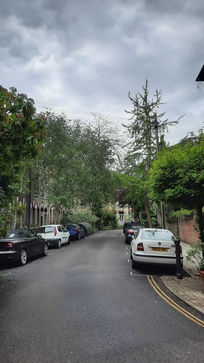 Barber_ENV's tweet photo. We are working on a project in the community space for LB Lambeth this week. For anyone wanting to see in reality what urban planting can be -  Bonnington Square, Vauxhall is an absolute must. 

#streetrees https://t.co/rDRWPikLe5