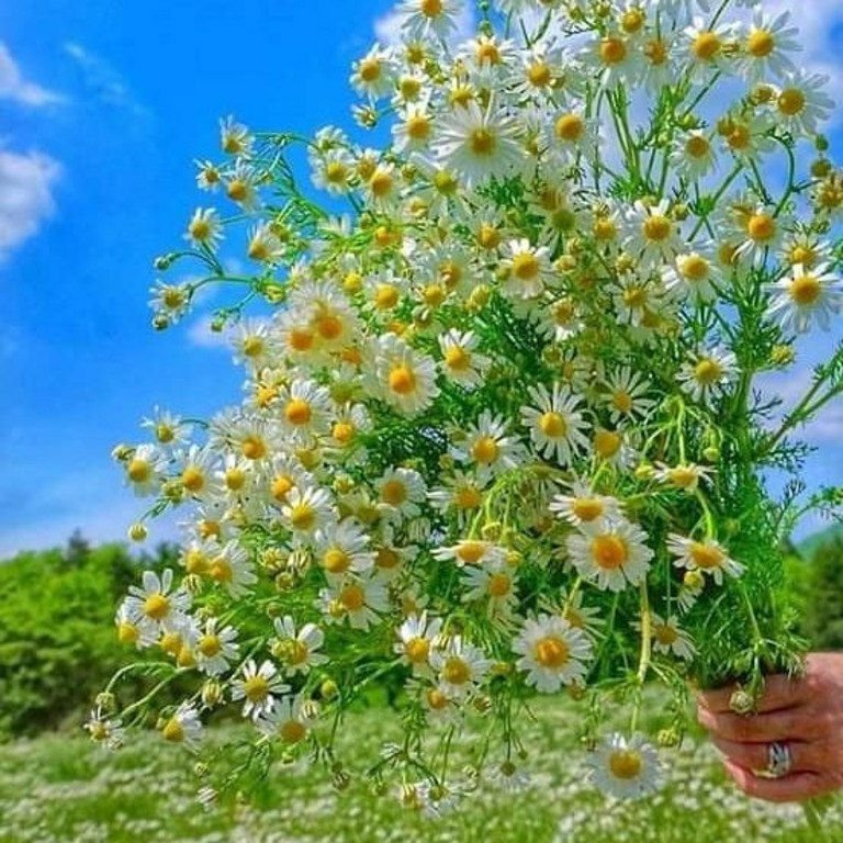 123 (@xetra_a) on Twitter photo 