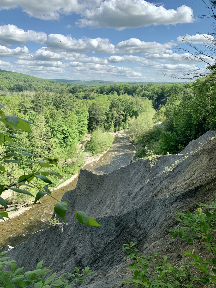 mchvdm's tweet photo. β
Today @vdM_lab completed @ASBMR Virtual 5k Fun Hike!
βοΈ Gorgeous views of Fall Creek along π΅πββοΈ
#BoneMarrowthon2021 #MoveYourBones
@MuyinHuang @carolyn_chlebek Adrien Sophia Maxπ @tylerjmcneill @ana_witkowski https://t.co/N1oY93TaDc