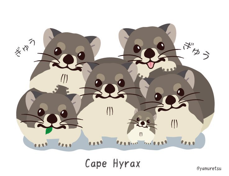 Twoucan ケープハイラックス の注目ツイート イラスト マンガ