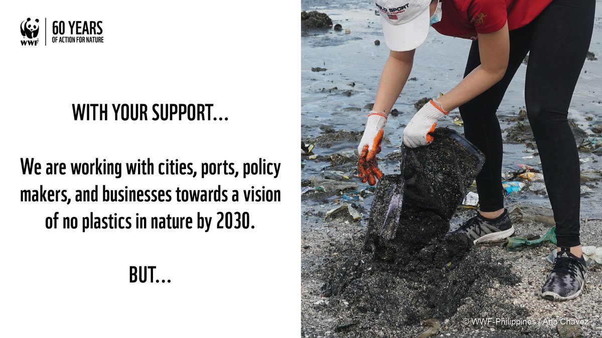 WWF_Philippines's tweet photo. Slowly but surely, we've been able to reduce unnecessary plastic with long-term changes in policies, businesses, and more! ♻️ #60YearsOfConservation #TogetherWeCan https://t.co/cfmIE3Znbo