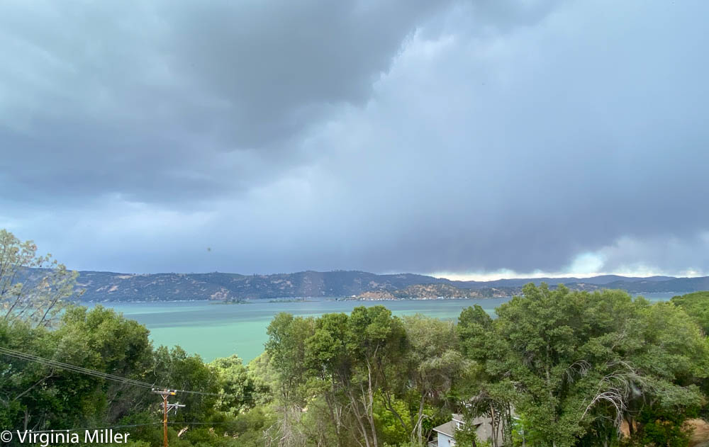ThePerfectSpot's tweet photo. That unexpected thunderstorm that blew in over the lake last week for a brief couple hours...
the water shifted colors, thunder and lightening, the air fresh and alive in its aftermath.
#LakeCounty #Kelseyville #ClearLake @VisitLakeCounty #NorCalLife #NorCal #Thunderstorm https://t.co/OTbSfe1y31