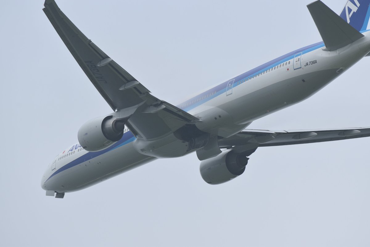 SuKuym8XeXh57DO's tweet photo. JA736Aお疲れ様でした!
#JA736A #77W https://t.co/PEpKxpsY24