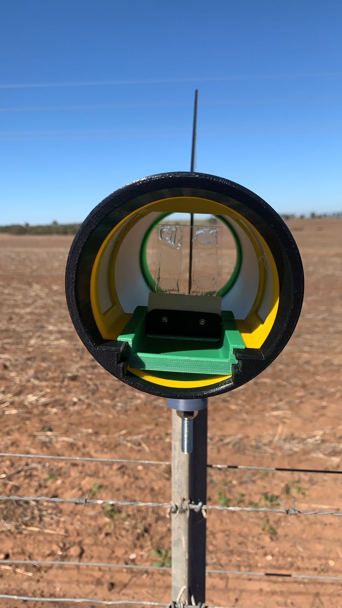 <a href="/PlanfarmWA/">Planfarm</a>'s <a href="/Richard1quinlan/">Richard Quinlan</a> and <a href="/nick_mckenna1/">Nick McKenna</a> helping us <a href="/theCCDM/">CCDM</a> to set up spore traps from <a href="/christiaan3296/">Christiaan Valentine</a> at a septoria nodorum/yellow spot hot spot in Geraldton!