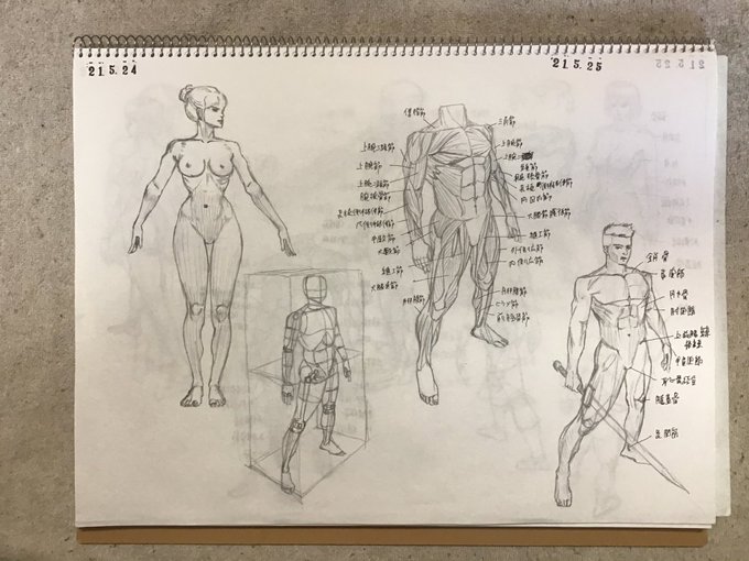 今日の #キムラッキ 。こんだけ描いてたら、いい加減よく出てくる筋肉の名前と位置形状を覚えてくるのだけれど、まだ怪しい部分はあります。しかし第4章の部分は、これまで学んだ事を総合的に使うので、とても良い復習になってると思います。 