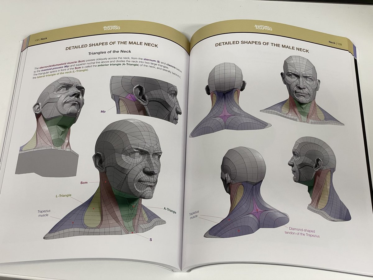 スカルプターのための美術解剖学 3 頭頸部編