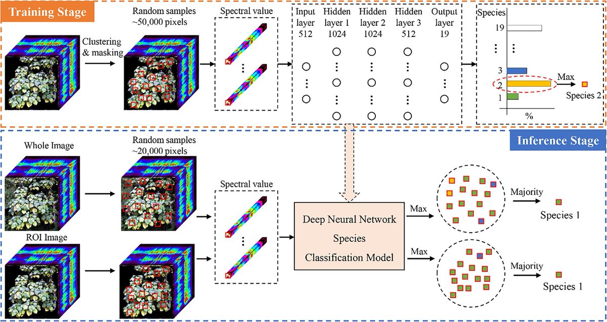 SawaidAbbas's tweet photo. #Terrestrial #Hyperspectal #RemoteSensing #SPECIMIQ to distinguish urban tree species
450 bi-monthly images of 75 urban trees belonging to 19 tree species were acquired.
A #DeepNeuralNetwork is developed to identify tree species
https://t.co/o13vKfoJSF https://t.co/s8xoGFKfj4