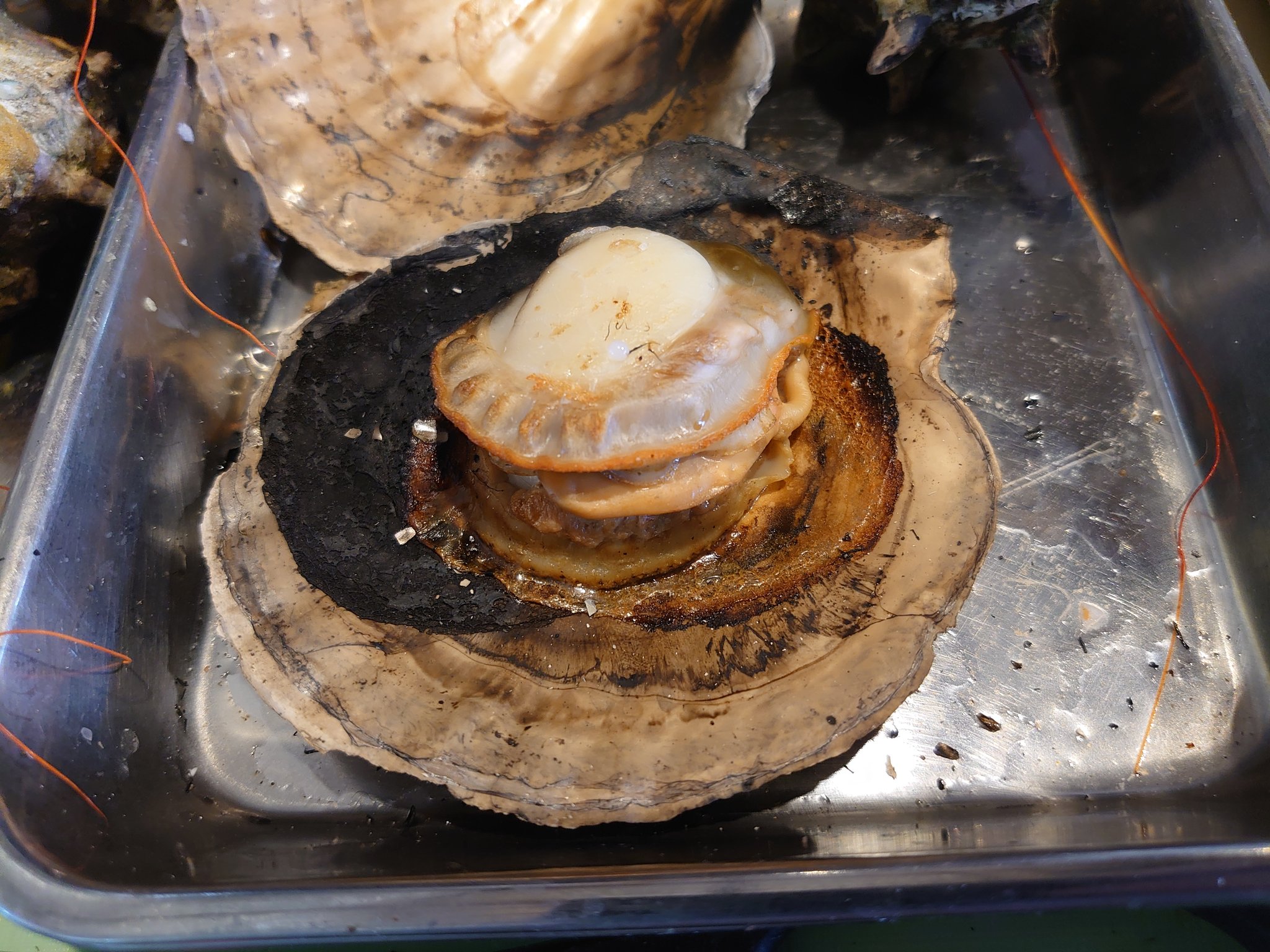 海鮮浜焼きまるはま Twitter Search Twitter