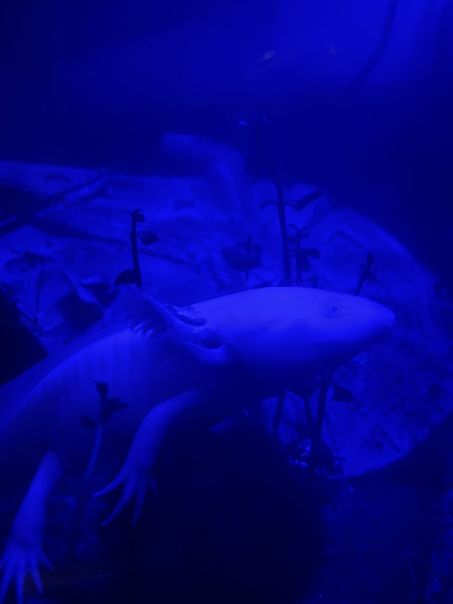 CodyStace's tweet photo. Night light vibe https://t.co/IB6TS58P2s