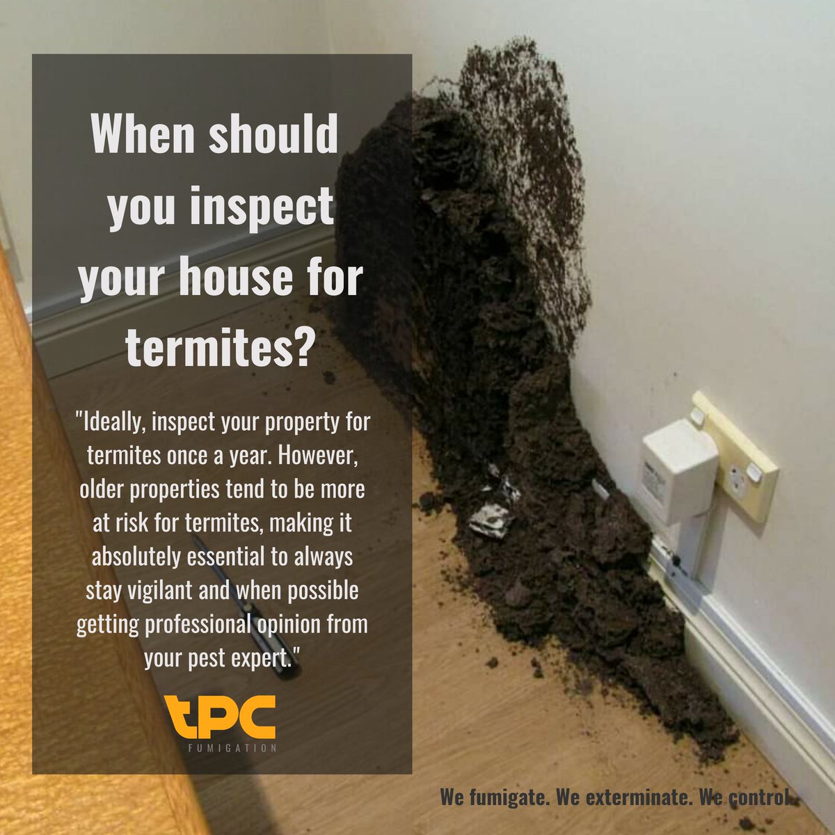 tpcfumigation's tweet image. Older houses tend to be more at risk for termites, making it absolutely essential to always stay vigilant #WeFumigate #WeExterminate #WeControl