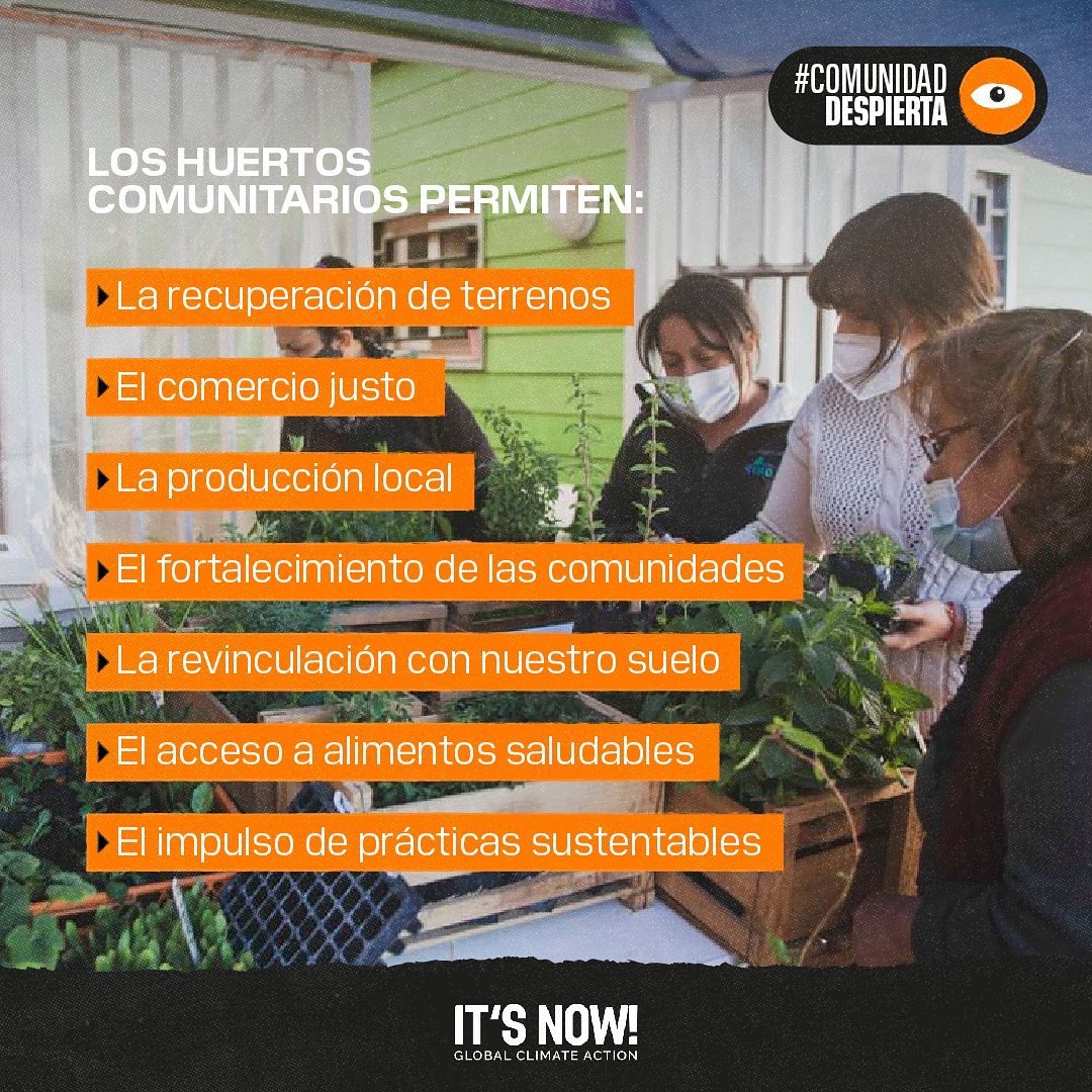 itsnow_org's tweet image. Los huertos comunitarios, acción concreta para la producción local de alimentos, el fortalecimiento de las comunidades y la reducción de emisiones 

#SoberaniaAlimentaria
#SeguridadAlimentaria
#CambioClimatico
#CrisisClimatica
#EsAhora
#ITSNOW