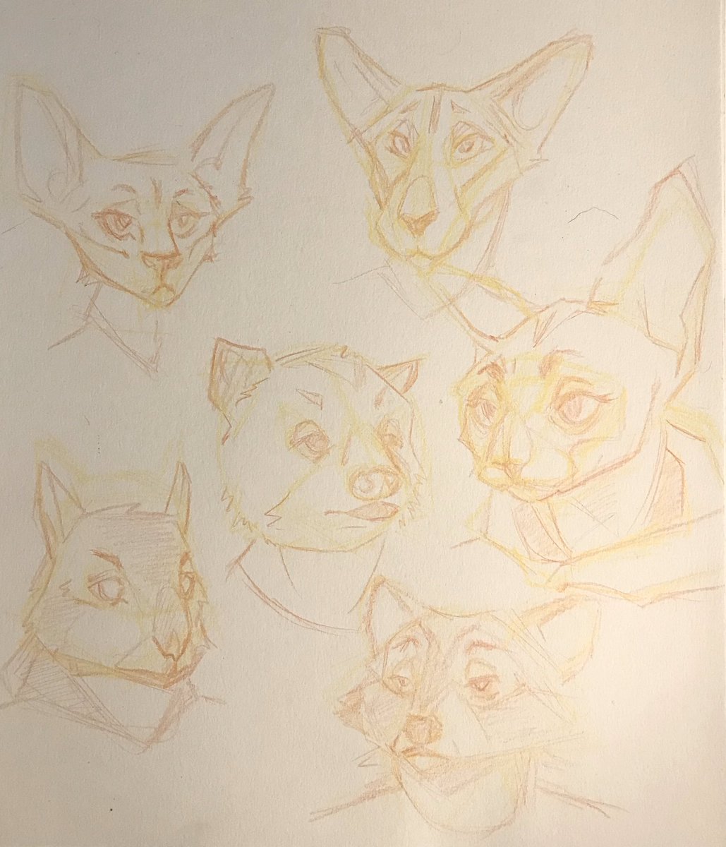nerrvouscat's tweet photo. trying to practice my way out of same-face syndrome https://t.co/xIAZdzmR41