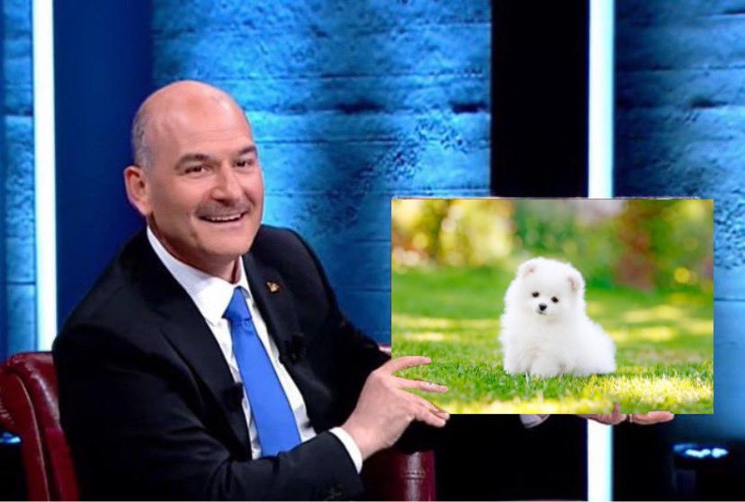 -sayın bakan Kolombiya’da 4.9 ton kokain, Panama’da 6000 paket kokain
+ya şunun tatlılığına bakar mısınız ya