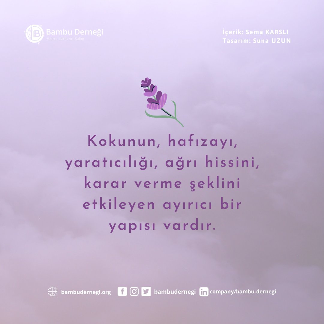 Koku, çevremiz hakkında bilgi edinmek için en pratik duyumuzdur. Çünkü biyolojik bir sadeliği ve farkında olduğumuz, kontrol edebildiğimiz düşünce süreçleri ile kurduğu bir bağ vardır. 

İçerik :  Sema Karslı
Tasarım : <a href="/sunazun/">Suna</a>