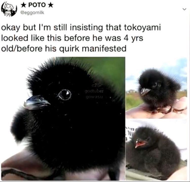 Lemme just place this down...