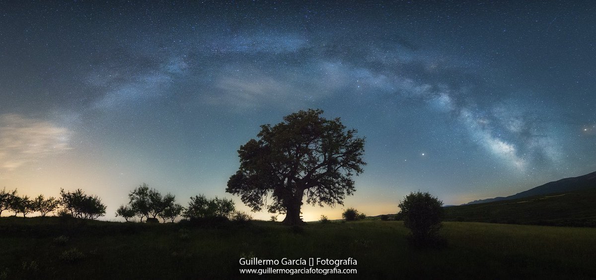 #DespertarPlanetario 🌞
🌳La anciana de la noche, Carrasca centenaria de #Lituénigo bajo la #ViaLactea #Moncayo #Zaragoza 🌌
📷 <a href="/GuilleGarcia86/">Guillermo García</a>