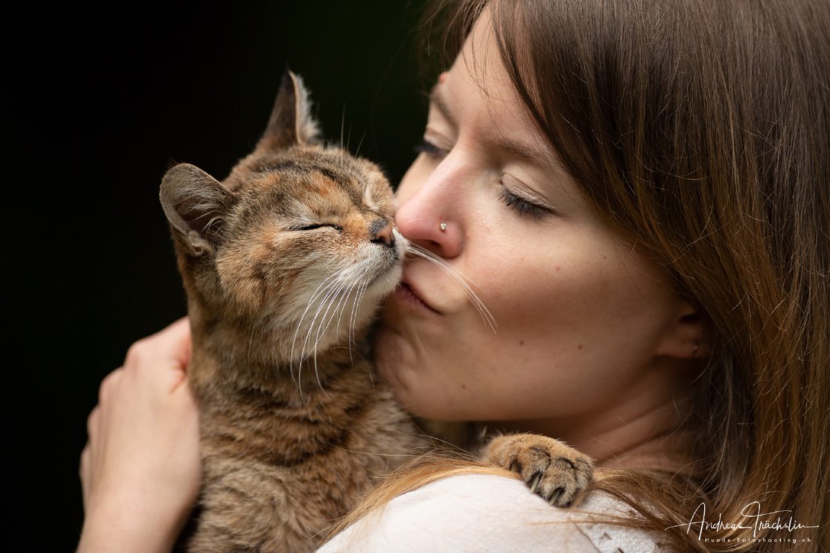 crazycanvas's tweet photo. Lieblingsbilder vom tollen Katzen- #photoshooting. 😍
(c) 📸 Andreas Trächslin https://t.co/rrHeyTAAaF