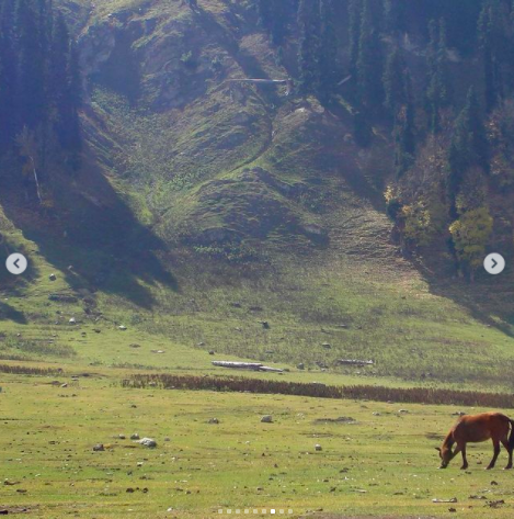 IamOnir's tweet photo. This makes me remember my first trip to #Kashmir in 2007. Since then I canmt keep myself away for too long from the valley :-) #sonemarg https://t.co/H4UvVDAlLR
