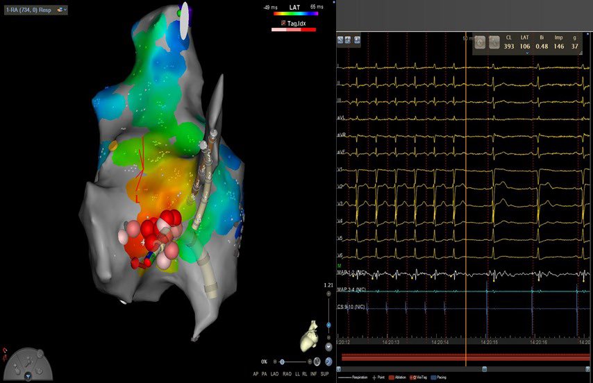 Stuart Tan tweet media