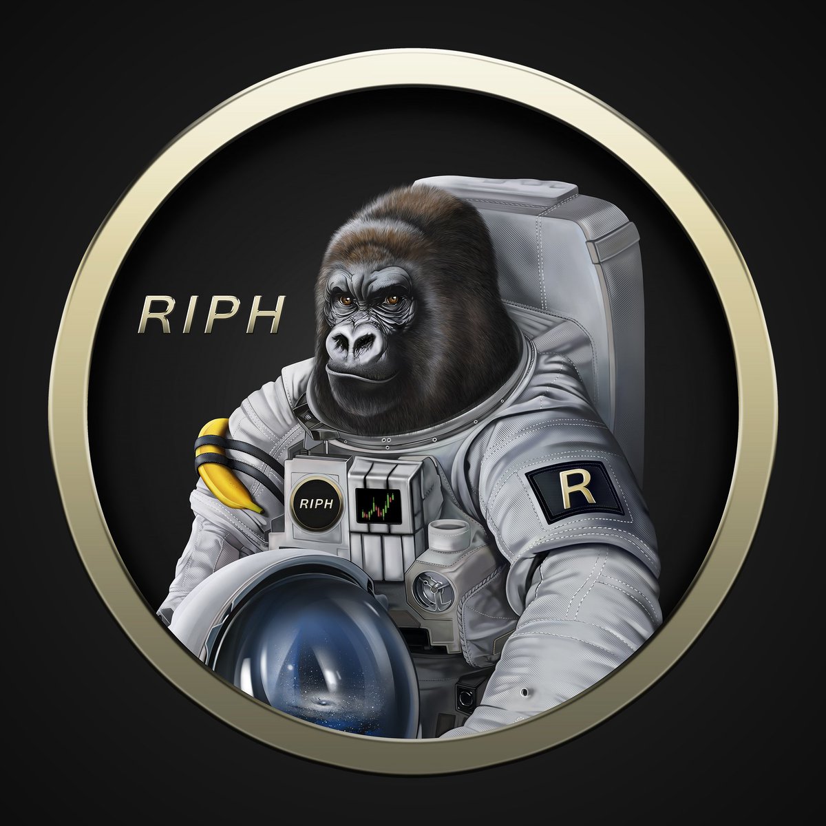 playrizegg's tweet photo. Who wants to see a 🦍 + 🦊 collab?

Harambe would look handsome on an @redfoxlabs_io KOG. 😏

Like, Comment &amp; Retweet!

@bennydoda01 https://t.co/d2Z57Tx6bK