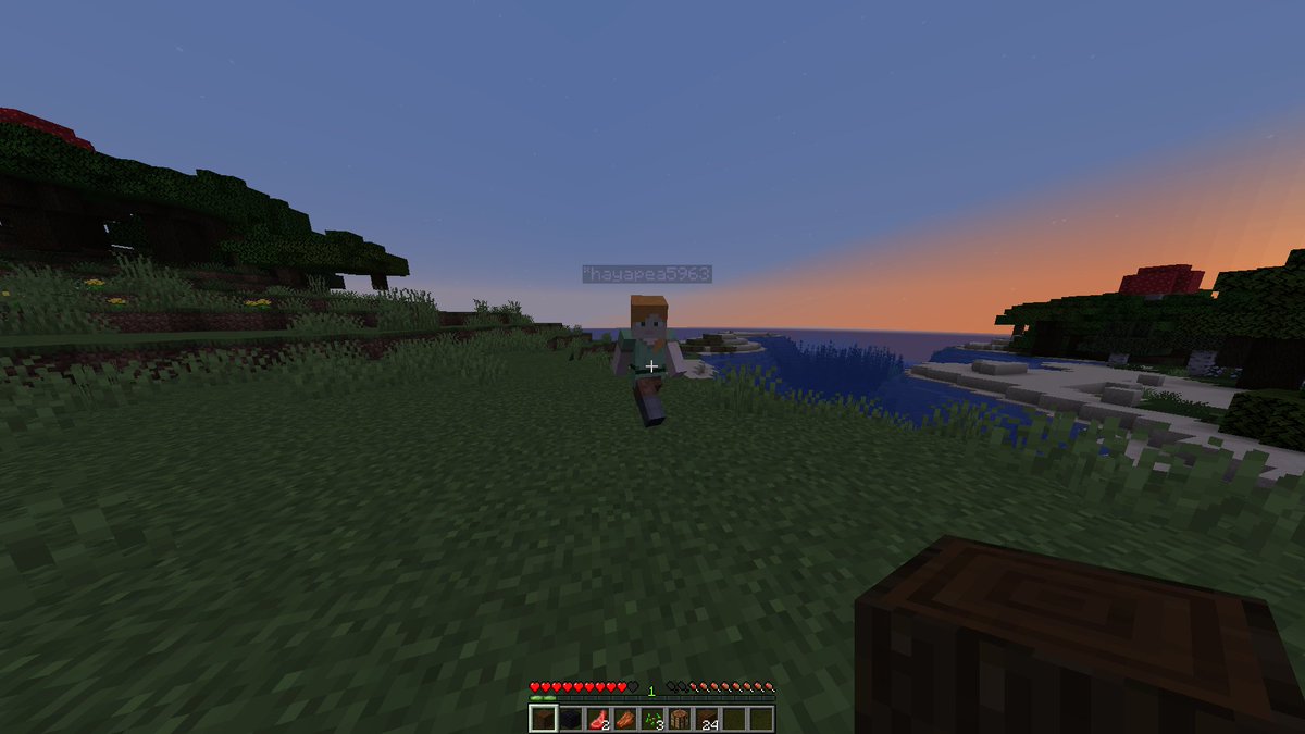 点 じん バーッテクス マイクラpe版とjava版 共存できました プラグインすごい