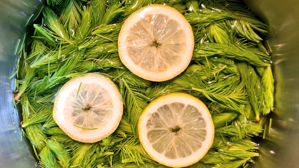 Ghislaine von Bunsen tweet media