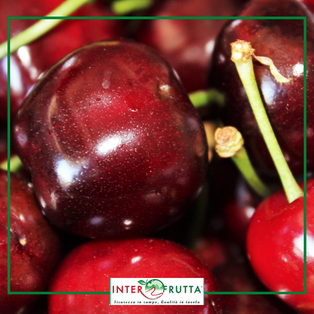 interfruttasrl's tweet photo. 🍒 Le #ciliegie si dividono di due grandi tipologie: quelle a frutto dolce (#duracine e #nettarine)  e quelle a frutto acido (#amarene, #visciole e #marasche).
#Interfrutta le seleziona per voi. 🚛 https://t.co/ChKXHczeAc