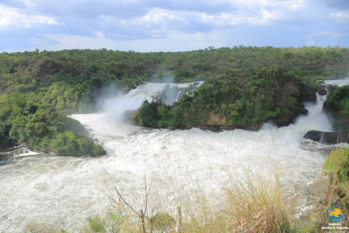 GetQuickSafaris's tweet photo. When you travel around Uganda, you will discover how beautiful it is!!

So take that trip.

For Inquiries; Call: 0707700303/0780700301
#GetQuickSafaris 

📍Murchison Falls https://t.co/wDJypiCfzV