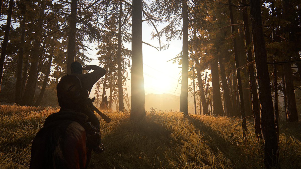 Last of us Part 2 (Intro)
Played roughly the first hour.

I’d forgotten just how beautiful this game was.  #TLOU2