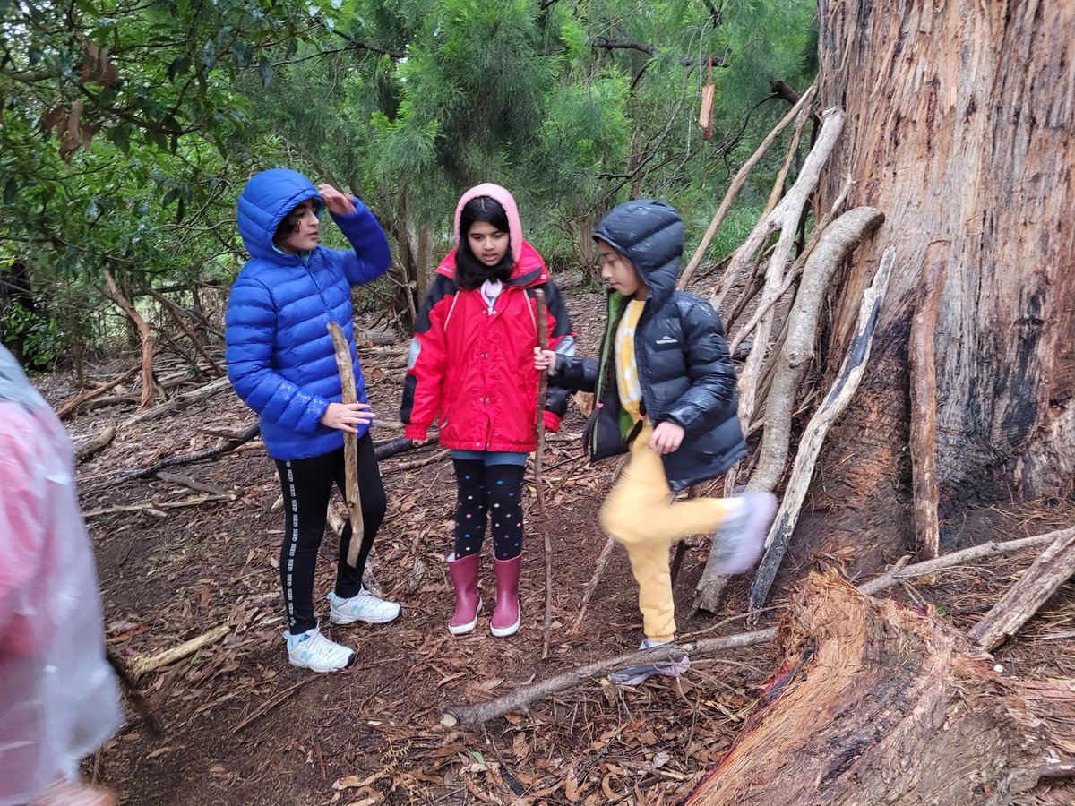 Miss_Shabo's tweet photo. Building huts in the rain like true campers. 💪🏼 @AitkenCreekPS https://t.co/N0tqshgr1Q