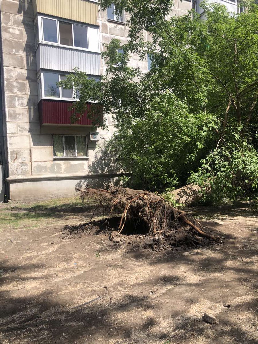 Кондыкер Тлиужанович Симбаев tweet media