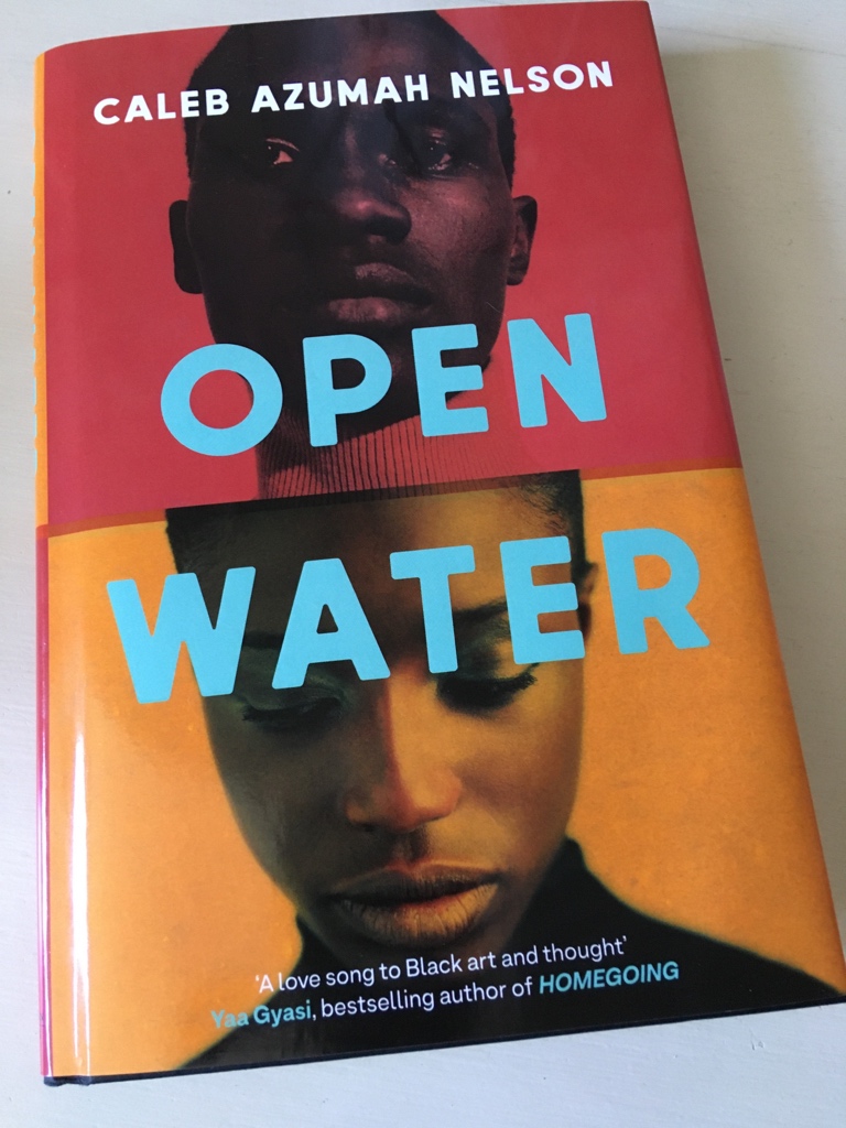 JacquiWine's tweet image. New blog post! 
Thoughts on OPEN WATER by Caleb Azumah Nelson, a beautiful, lyrical novella by a captivating new voice. jacquiwine.wordpress.com/2021/05/25/ope… @VikingBooksUK @CalebANelson #OpenWater #TuesdayBookBlog #Tuesdayblogshare #BookReview